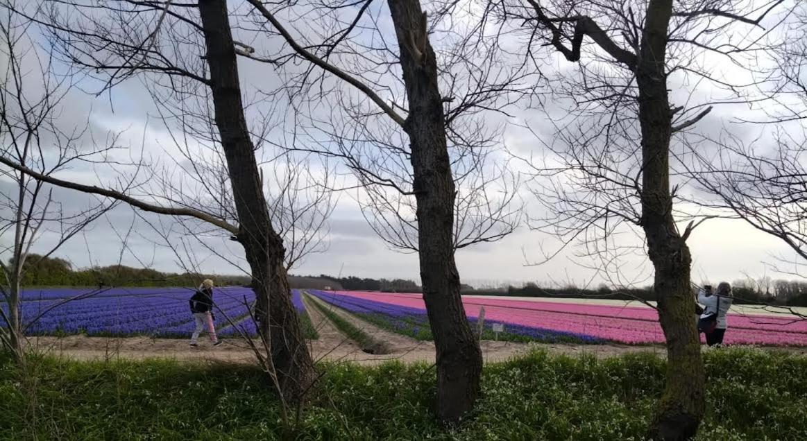 Penmarcʼh Trouz Ar Mor 빌라 외부 사진
